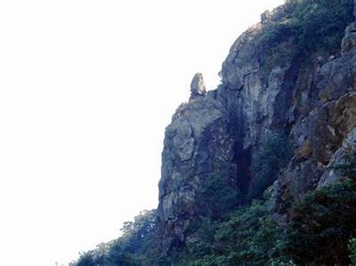 铚滄瀛愬仛璧锋场：提升同业竞争力的最新动态与动向调查