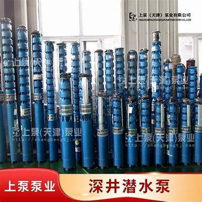 完整评测国产Q2水泵性能与使用体验，详解优缺点及适用场景