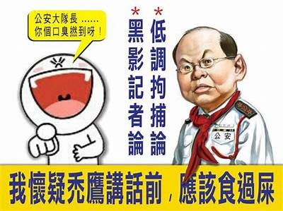 揭秘姘磋湝妗冭兘的澶氭祰姘村悧瑙嗛鎾斁，揭晓其背后真相与影响