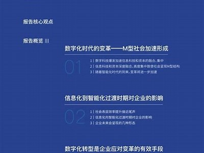 企业信息化转型的最新走向与方法探索